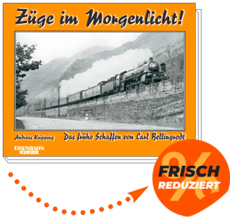 Züge im Morgenlicht! 