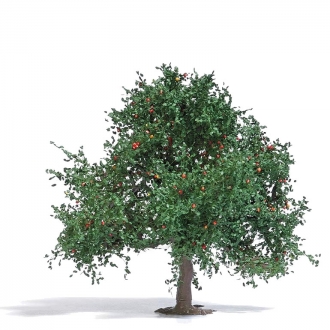 Geschenkabo Apfelbaum Apfelbaum